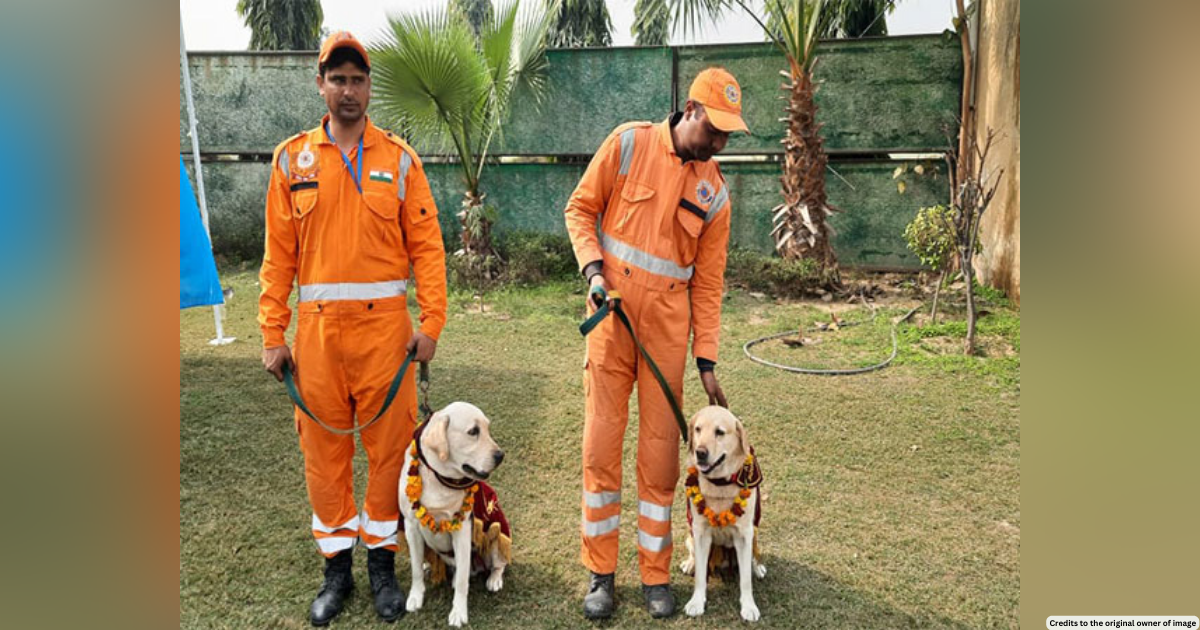 NDRF team, dog squad members Rambo and Honey return to India after 10-day rescue operation in quake-hit Turkey
